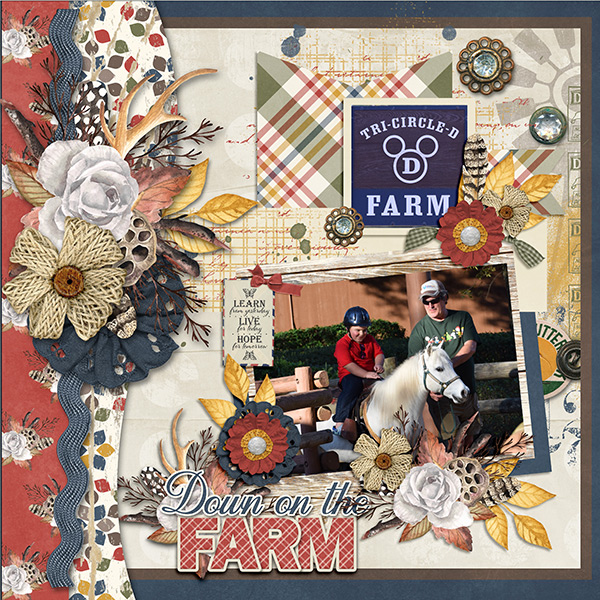 Down On The Farm