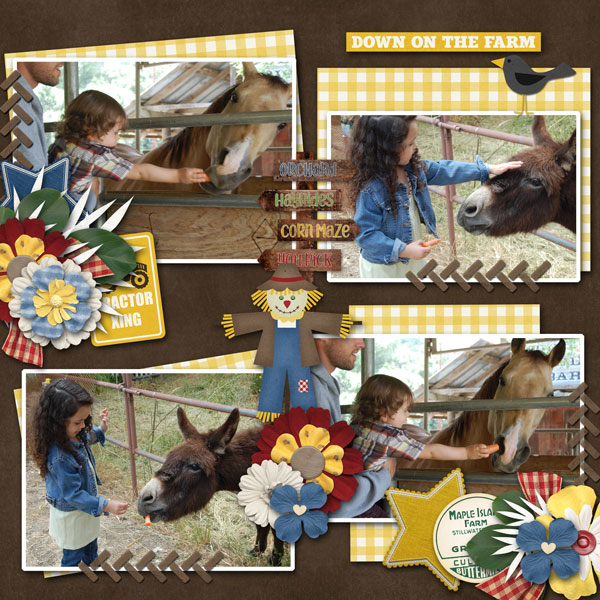 Down On The Farm
