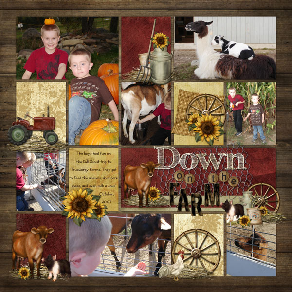 Down On The Farm