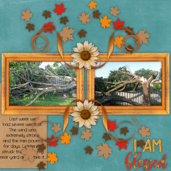 Downed Tree