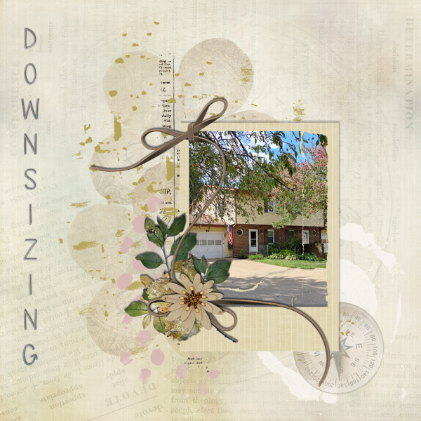 Downsizing