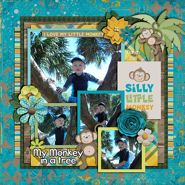 doyle-monkey-in-a-tree
