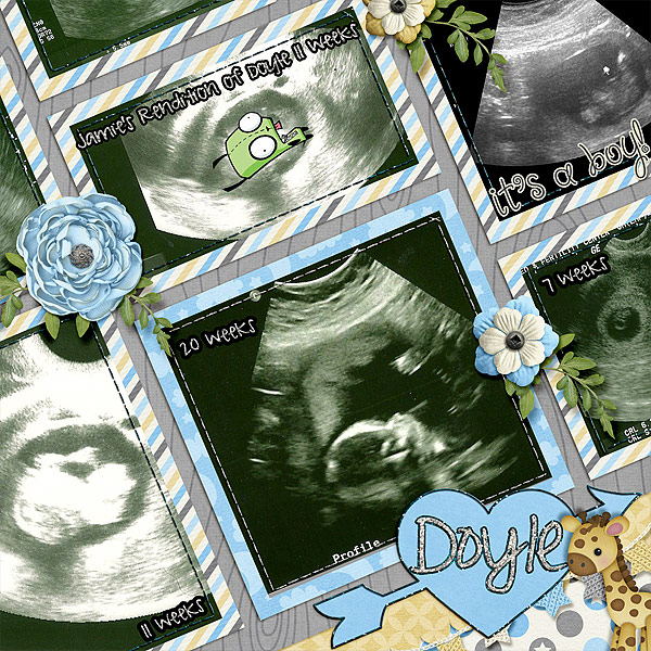 doyle-ultrasounds