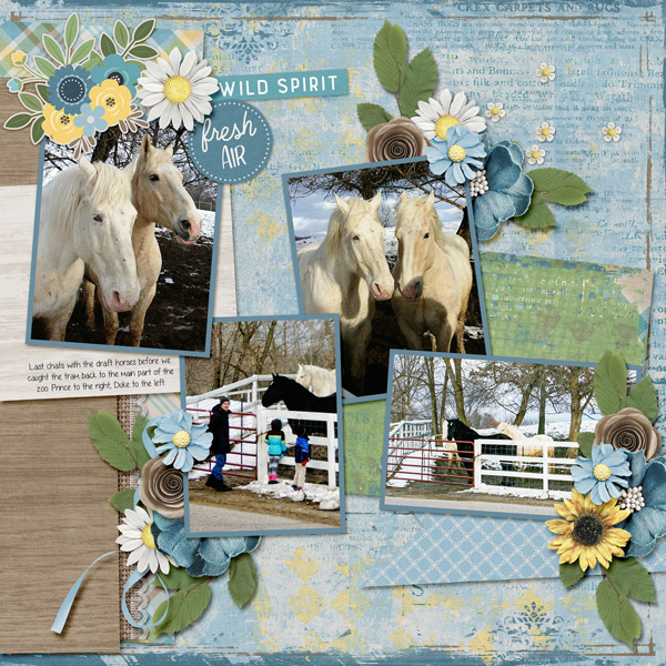 Draft Horses