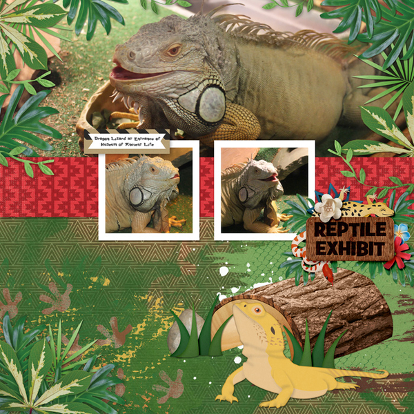 Dragon Lizard