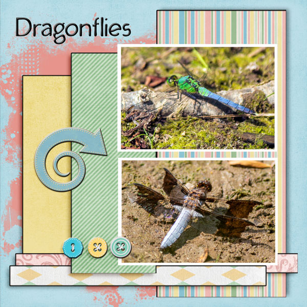 Dragonflies