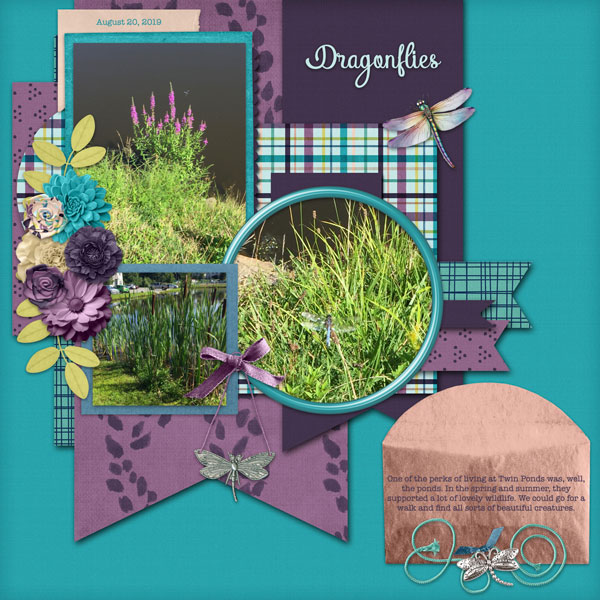Dragonflies
