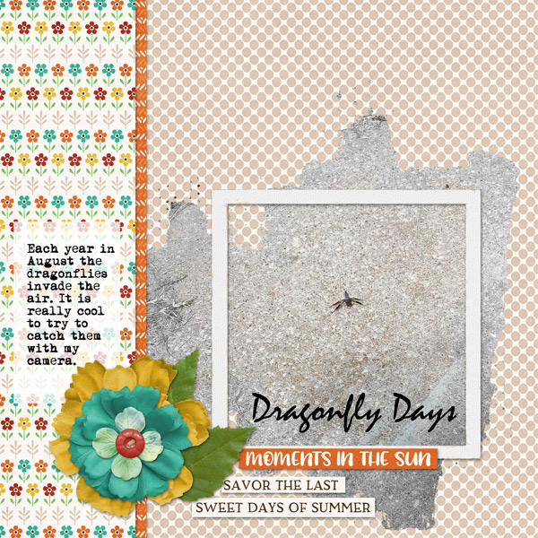 Dragonfly Days