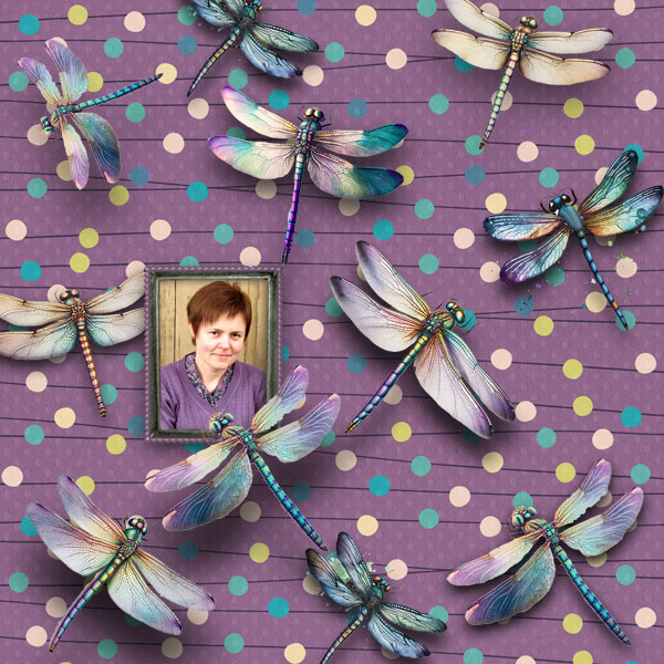 Dragonfly Dreams