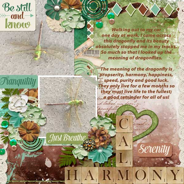 Dragonfly Lesson