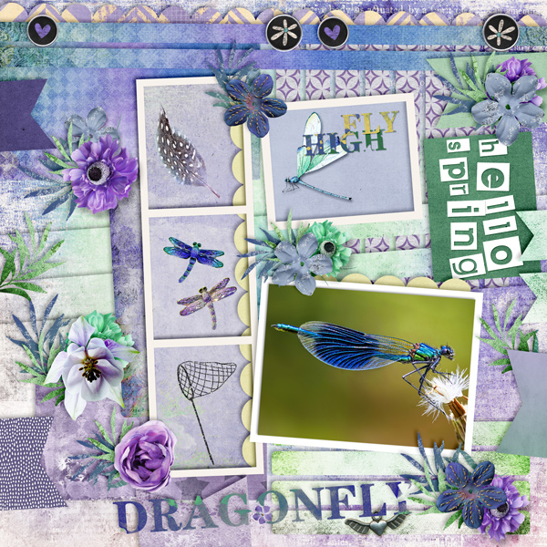 Dragonfly Story