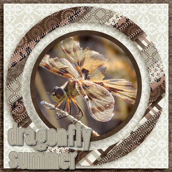 Dragonfly Summer