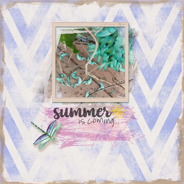 dragonfly summer