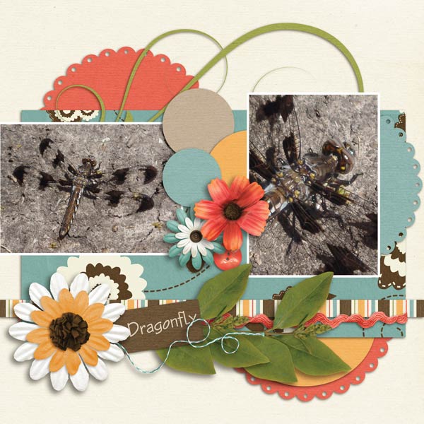 Dragonfly