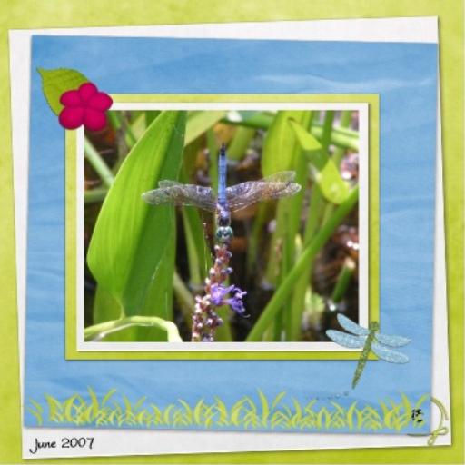 Dragonfly