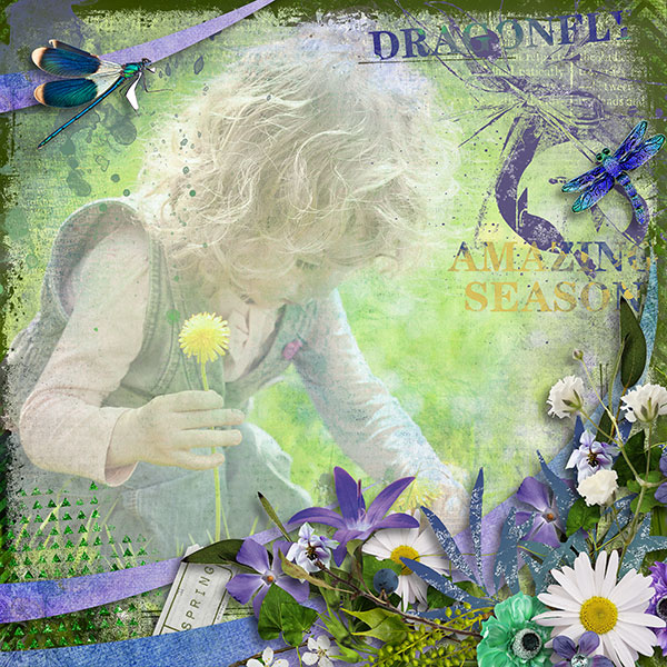 Dragonfly