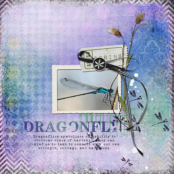Dragonfly