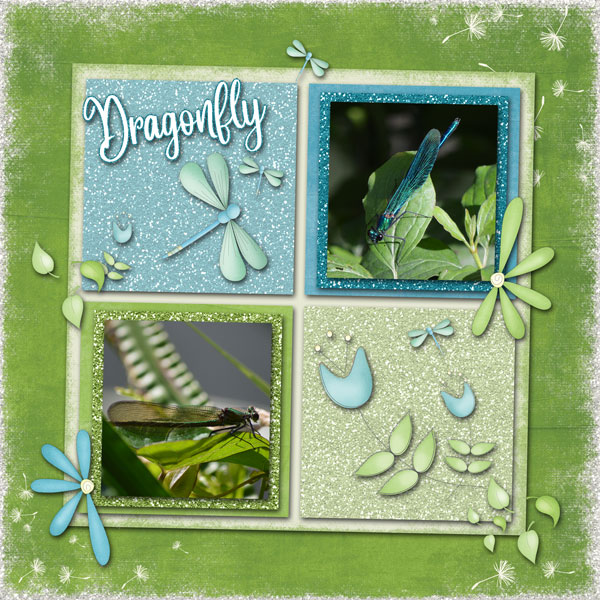 dragonfly