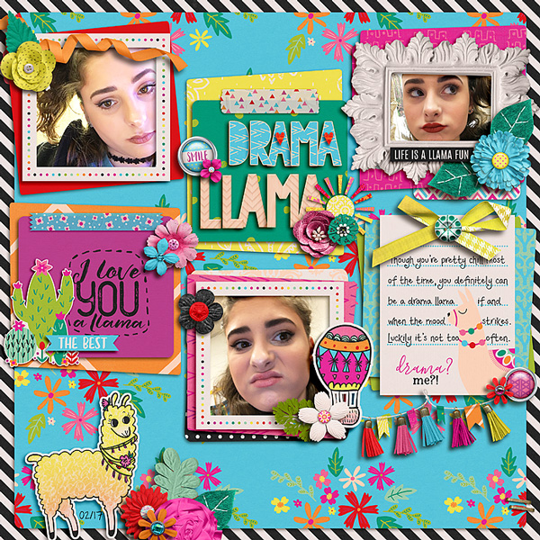 Drama Llama