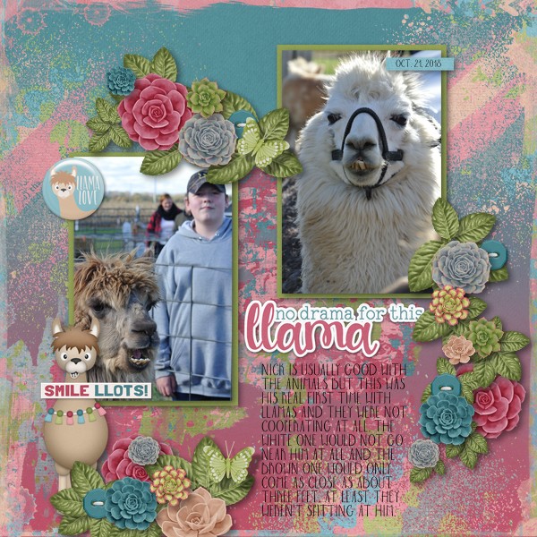 Drama Llama