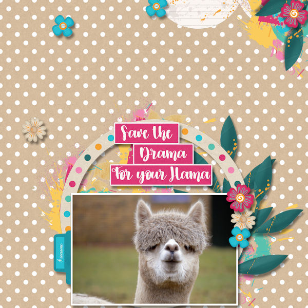 Drama Llama