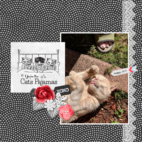 DRB_YouHadMeAtMeow-KatL