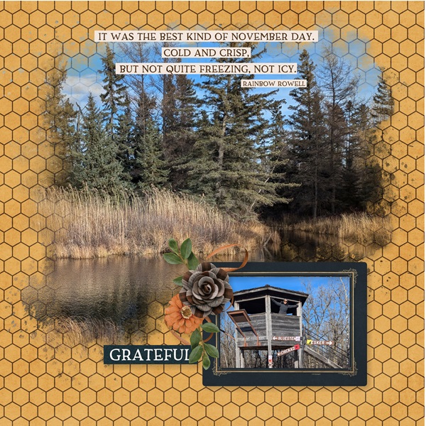 DRD_Chickadee Trail