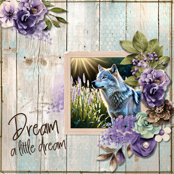 Dream A Little Dream February 2025