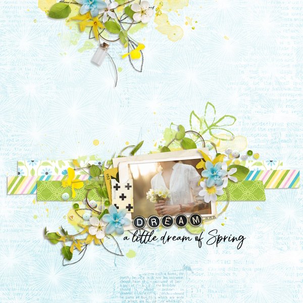 Dream a little dream of Spring