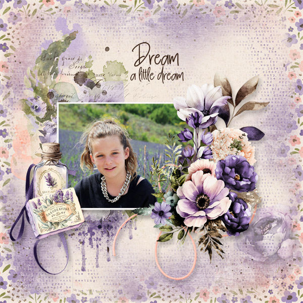 Dream a little dream