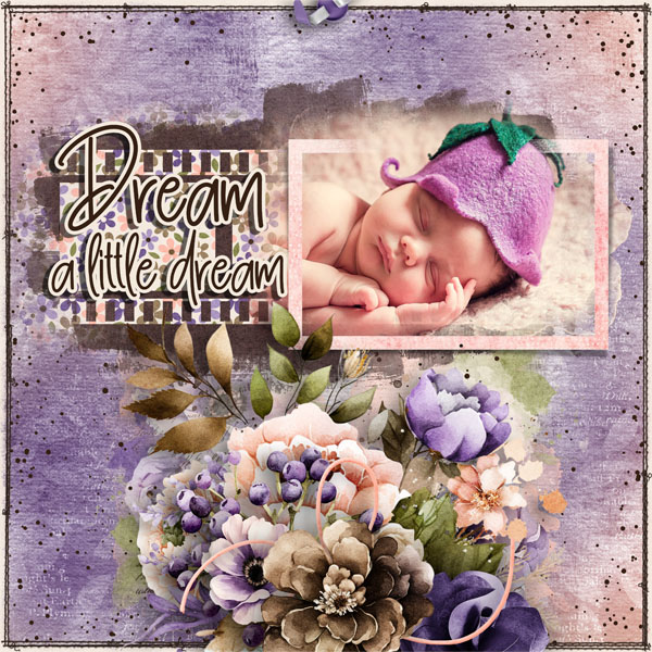 Dream a Little Dream