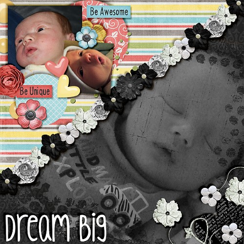 Dream Big