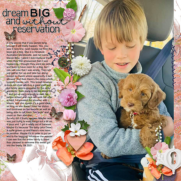 Dream Big