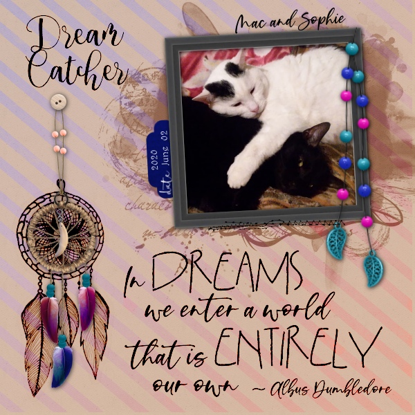Dream Catcher