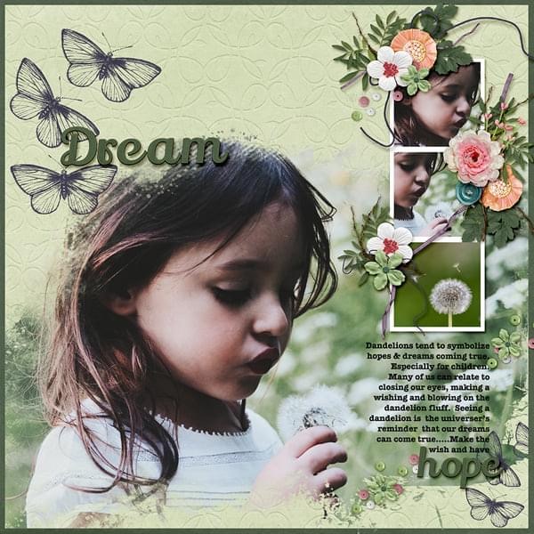 Dream + Hope