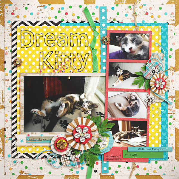 Dream Kitty