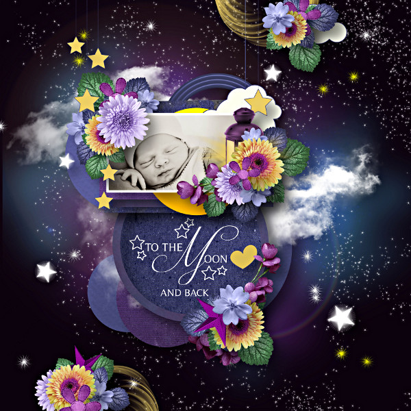 Dream Night