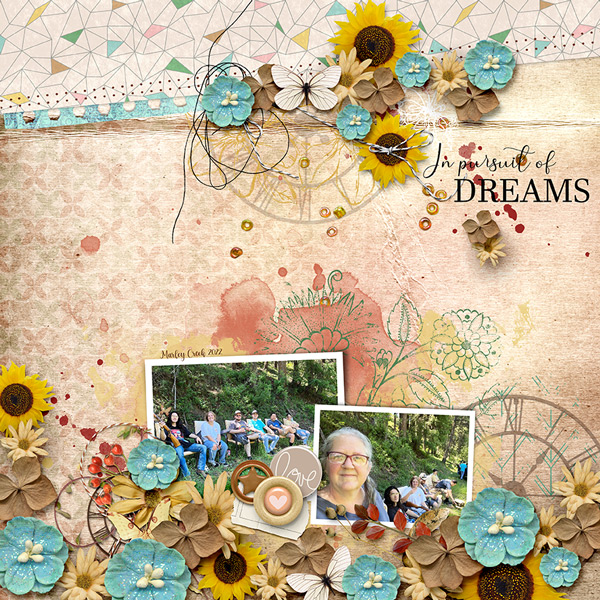 Dream pursuit