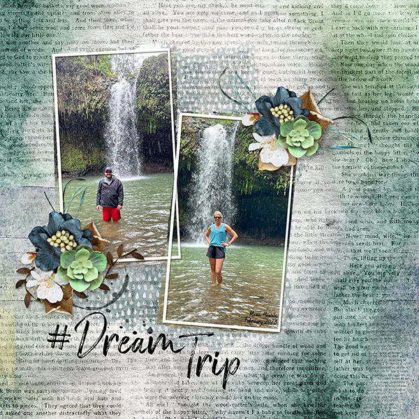 #Dream Trip
