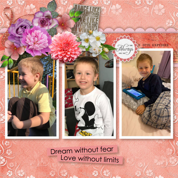 Dream without fear Love without limits