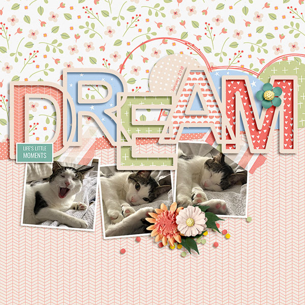 dream
