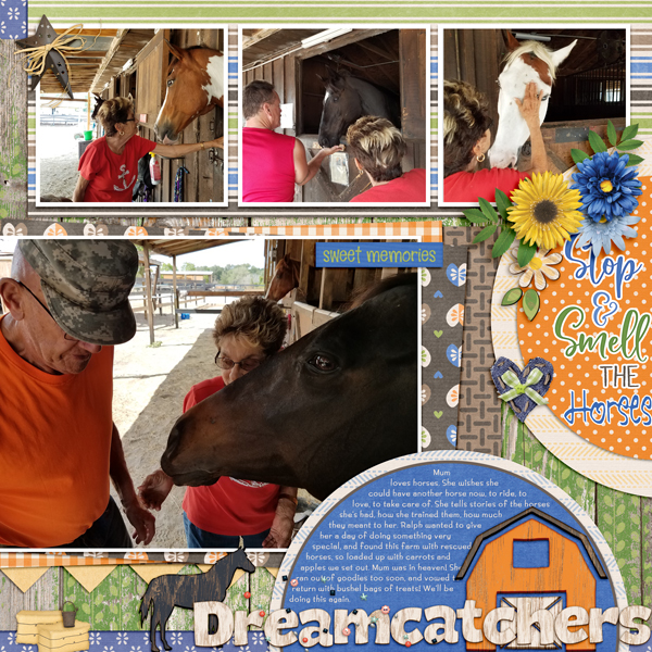 Dreamcatchers_horse_farm