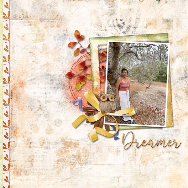 Dreamer