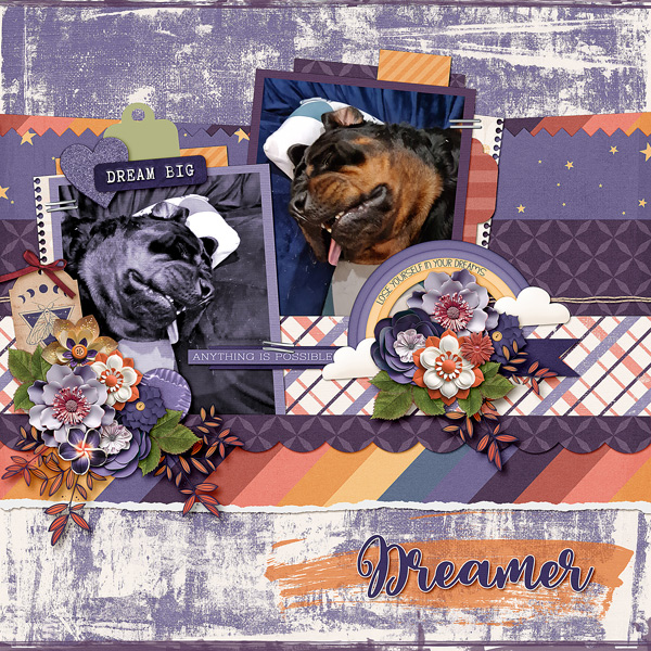 Dreamer