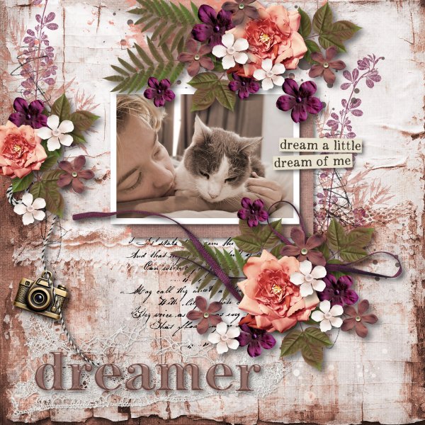 dreamer