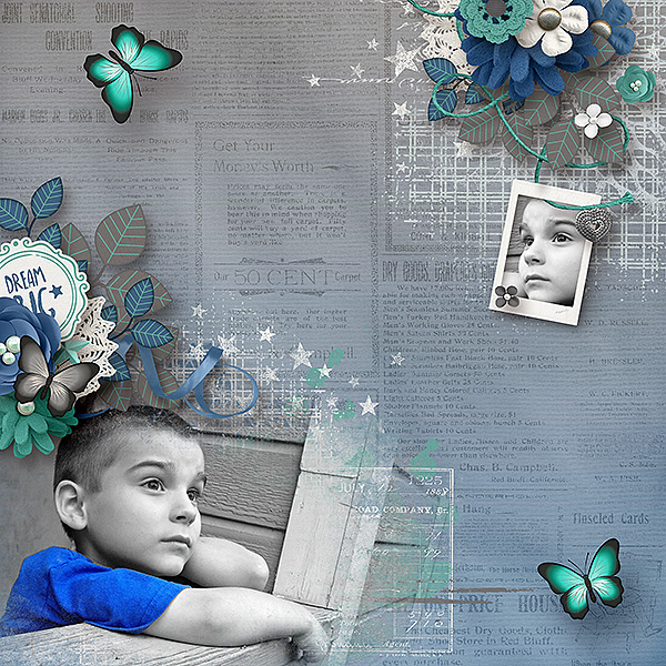 Dreamer11
