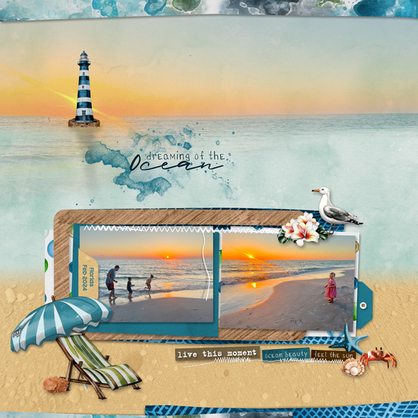 Dreaming of the Ocean