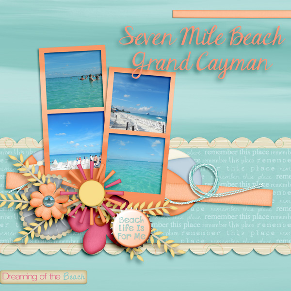 Dreaming_of_the_Beach
