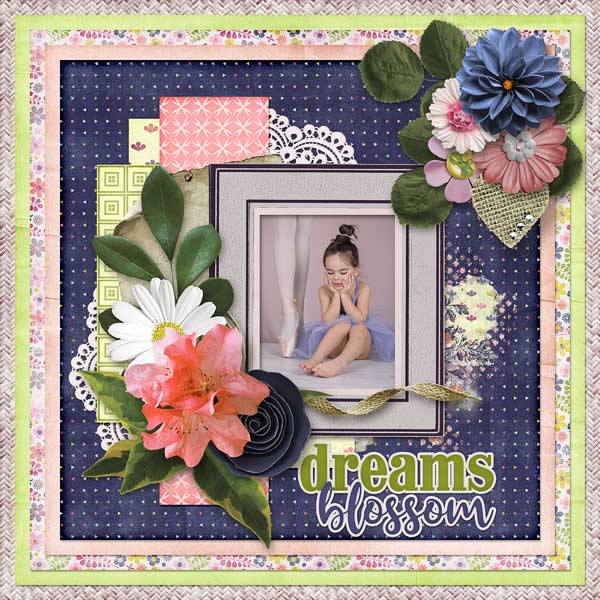 Dreams Blossom