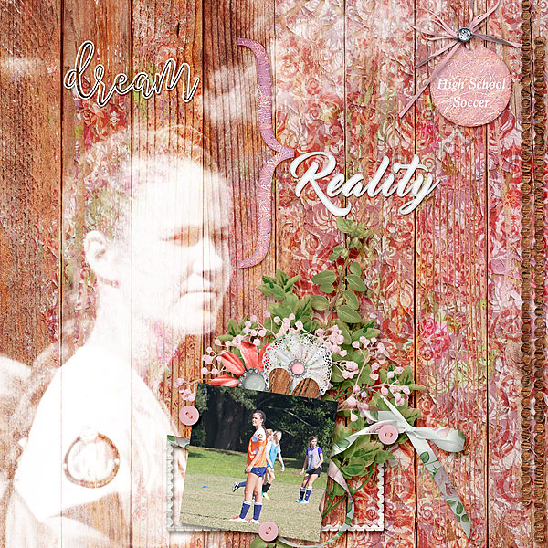 Dreams Verses Reality